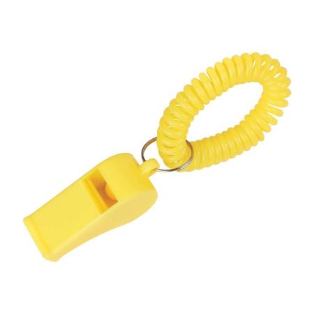 Whistle With Coil 1